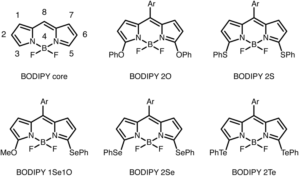 BODIPY 650/665 maleimide馬來(lái)酰亞胺