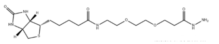 生物素二聚乙二醇酰肼