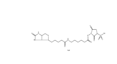 127062-22-0        Sulfo-NHS-LC-Biotin	       水溶生物素活性酯交聯劑，6-(生物素酰胺)己酸磺酸基琥珀酰亞胺酯鈉鹽	