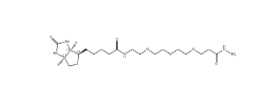 1381861-94-4，(+)-Biotin-PEG3-Hydrazide