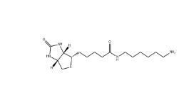 CAS: 65953-56-2/Biotin-C6-amine/生物素-C6-氨基