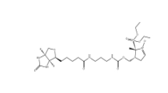 936224-52-1           DEPMPO-biotin		