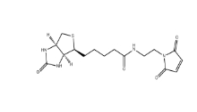 CAS ：139554-72-6          生物素 C2 馬來(lái)酰亞胺 