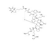  CAS號: 126703-17-1       生物素標記抗利尿激素