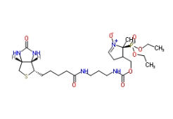 936224-52-1             DEPMPO-biotin solution		