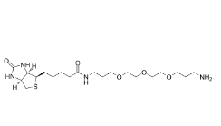 1374658-86-2           Biotin-PEG3-(CH2)3-NH2 TFA salt		