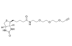 1421701-68-9          Biotin-PEG3-propargyl	          生物素-三聚乙二醇-丙炔基	