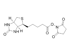 35013-72-0|生物素琥珀酰亞胺酯|NHS-biotin