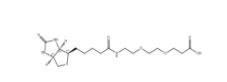 1365655-89-5,Biotin-PEG2-COOH	，生物素-二聚乙二醇-丙酸