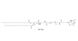 385437-57-0，Biotin-PEG2000-DSPE，DSPE-PEG2000-Bioti