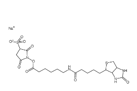 127062-22-0，Sulfo NHS LC Biotin，生物素酰氨基己酸-3-磺酸基-N-羥基琥珀酰亞胺酯	