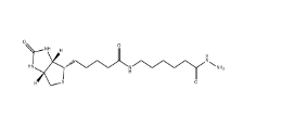 CAS: 109276-34-8/Biotin-LC-Hydrazide/生物素標(biāo)記