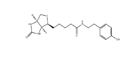 41994-02-9；Biotinyl tyramide；生物素基酪氨酰胺	