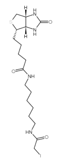 CAS No. : 93285-75-7，Iodoacetyl-LC-biotin ， 一種生物素化的親電子探針