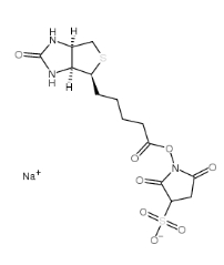  [CAS 119616-38-5]，Sulpho NHS biotin