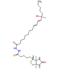 [CAS 1176496-97-1]，13(S)-HODE-biotin 