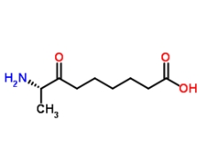 [CAS 177408-65-0]，KAPA hydrochloride (7-keto-8-Aminopelargomic Acid) 