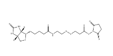 NHS-SS-biotin	、122266-55-1、2-[生物素氨基]乙基-1,3-二硫基丙酸磺基琥珀酰亞胺酯