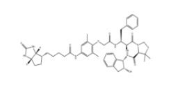 KNI-1293 Biotin、2071715-99-4、KNI-1293生物素