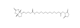 Biotin-PEG3-NHS ester、1253286-56-4、生物素三聚乙二醇琥珀酰亞胺酯