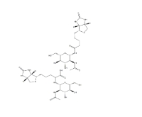 N-GlcNAc-生物素、1272755-69-7、2-乙酰氨基-2-脫氧-BETA-D-吡喃葡萄糖基氨基生物素