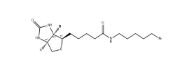 生物素5-溴戊酰胺、1217605-72-5、BIOTIN 5-BROMOPENTYLAMIDE