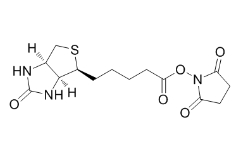 四臂-聚乙二醇-生物素；4-Arm PEG-Biotin		