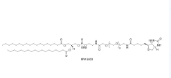 DSPE-PEG-2K-Biotin小分子PEG	   385437-57-0	           磷脂酰乙醇胺-聚乙二醇2000-生物素 