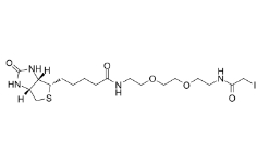 Biotin-PEG2-iodide小分子PEG	292843-75-5	     生物素-二聚乙二醇-碘乙酰胺 