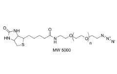 Biotin-PEG23-N3	     956494-20-5	        生物素-PEG23-疊氮化物