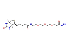 Biotin-PEG3-hydrazide	   1381861-94-4   	   生物素-PEG3-酰肼