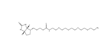 Biotin-PEG6-NH2， 663171-32-2，小分子PEG