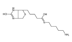 Biotin-Amine，115416-38-1，生物素氨基