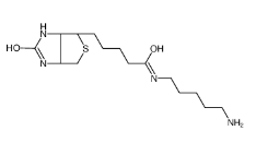 Biotin-NH2/生物素-氨基；115416-38-1 