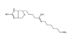 Biotin-C6-amine/CAS: 65953-56-2/生物素-C6-氨基