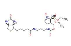 DEPMPO-biotin；936224-52-1