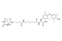 Biotin-hexanamide-(L-Thyroxine)；2278192-78-0；生物素己酰胺-（L-甲狀腺素）