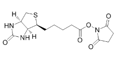 生物素-N-琥珀酰亞胺基酯；35013-72-0	；BIOTIN-NHS