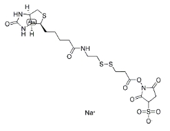 Biotin-SS-NHS 生物素-二硫-活性酯；cas:122266-55-1