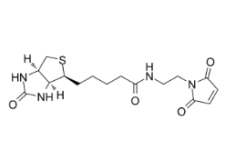 生物素 C2 馬來酰亞胺 ；CAS 139554-72-6；N-BIOTINYL-N＇-MALEIMIDO-ETHYLENEDIAMINE