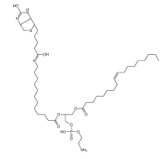 CAS號:799812-67-2；1-油酰-2-(12-生物素酰(氨基十二烷基))-sn-甘油-3-磷酸乙醇胺