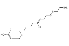 Biotinyl Cystamine；128915-82-2；生物素半胱胺