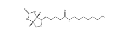 Biotin-C6-amine；65953-56-2；N-生物素基-1,6-己二胺