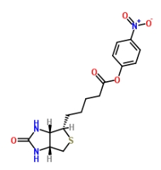 (+)-Biotin-ONP ((+)-Biotin 4-nitrophenyl ester)；33755-53-2；(+)-生物素4-硝基苯酯