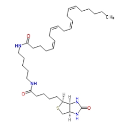 CAS號： 1217901-28-4；Arachidonic Acid-biotinamide