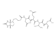 Biotin-Asp-Glu-Val-Asp-CHO；178603-73-1；生物素-天冬氨酰-谷氨酰-纈氨酰-天冬氨醛