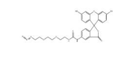 CAS號(hào)：1146195-72-3，熒光素-PEG2-疊氮化物，F(xiàn)luorescein-thiourea-PEG2-azide