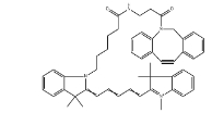 CAS號：2182601-71-2，CY5-二苯基環辛炔;CY5-二苯并環辛炔，Cyanine5 DBCO，