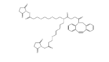 CAS號：2128735-29-3，N-DBCO-N-bis(PEG2-C2-NHS ester)，N-Dbco-N-bis(peg2-nhs ester)，N-二苯基環辛炔-N-bis(二聚乙二醇-C2-琥珀酰亞胺酯)