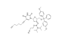 clk-a03-1g c8-alkyne-du-cep, 1 g pack，CAS號：938186-76-6